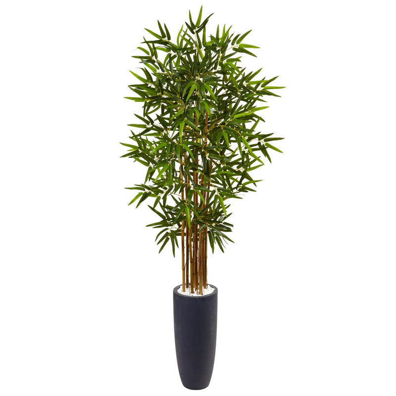 5’ Bamboo Tree in Gray Cylinder Planter Default Title