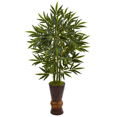 5’ Bamboo Tree in Bamboo Planter Default Title