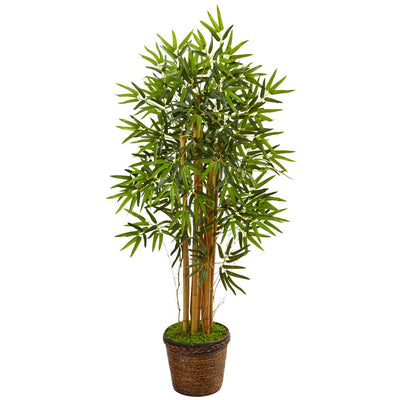 4.5’ Bamboo Tree in Coiled Rope Planter Default Title