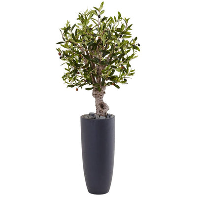 3.5’ Olive Tree in Gray Cylinder Planter Default Title