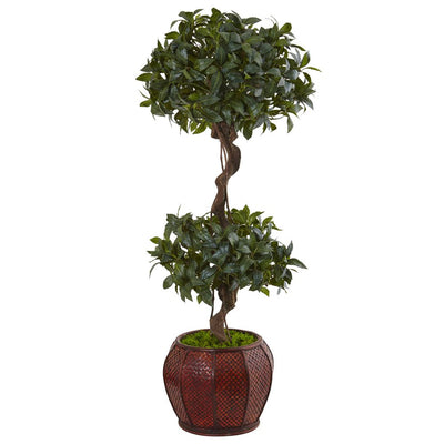 4.5’ Sweet Bay Double Topiary Tree in Round Wood Planter Default Title