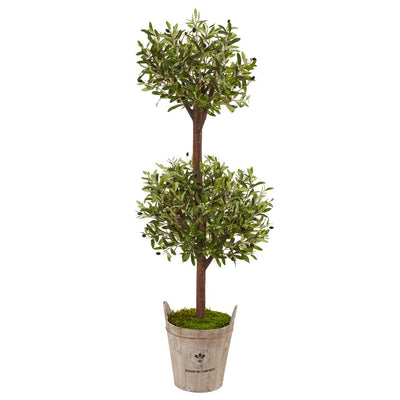 5’ Olive Tree in Farmhouse Planter Default Title