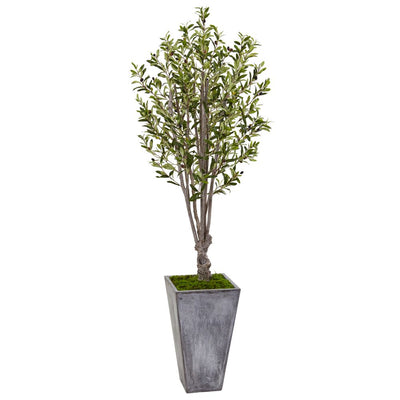 6’ Olive Tree in Stone Planter Default Title