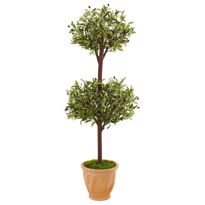 4.5’ Olive Topiary Tree in Terracotta Pot Default Title