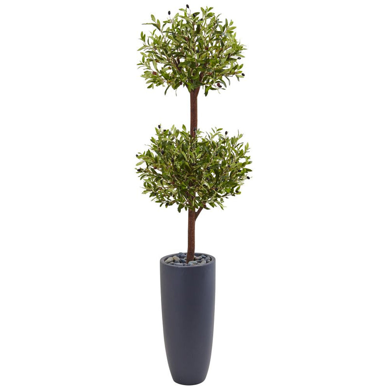 6’ Olive Double Tree in Gray Cylinder Planter Default Title