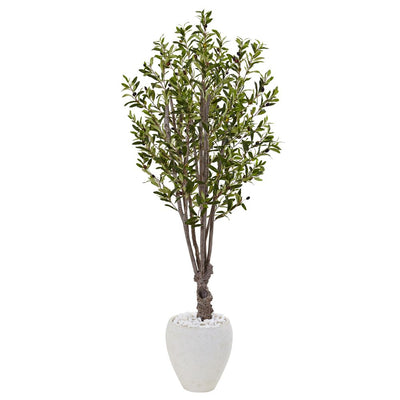 5’ Olive Tree in White Oval Planter Default Title