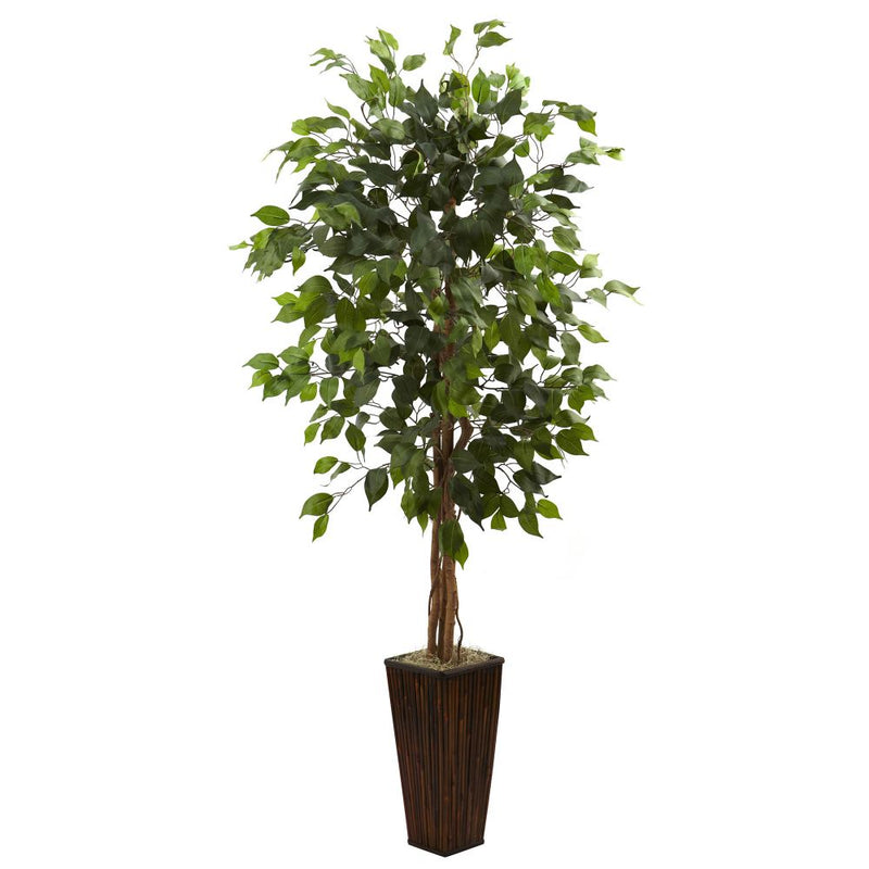 5.5’ Ficus Tree w/Bamboo Planter Default Title