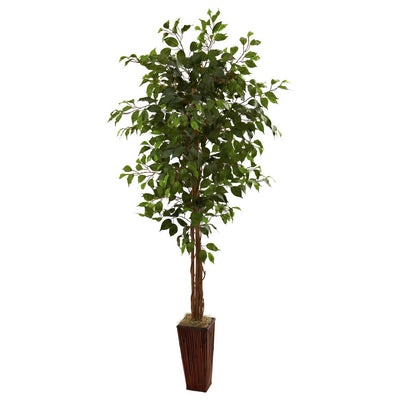 6' Ficus Tree w/Bamboo Planter Default Title