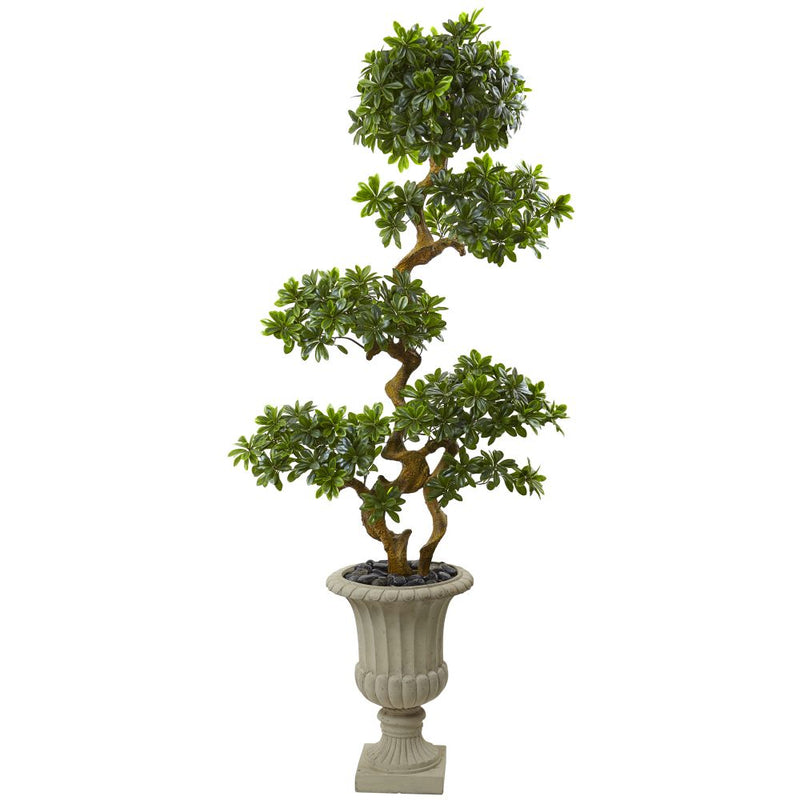 6’ Pittosporum Artificial Tree in Urn UV Resistant (Indoor/Outdoor) Default Title