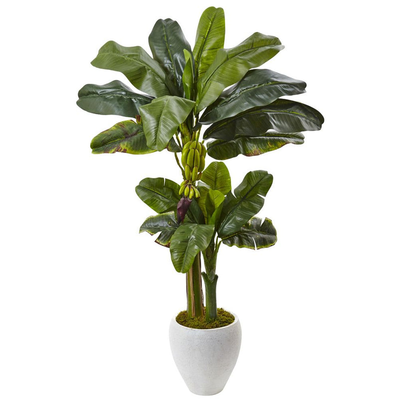 Double Stalk Banana Tree in White Planter Default Title