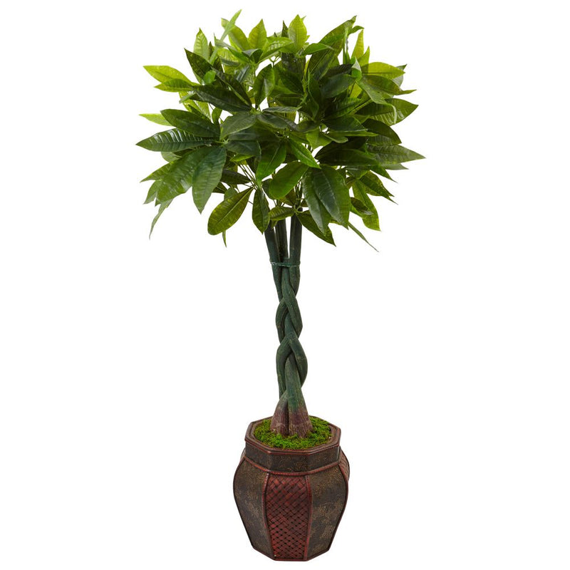 4.5’ Money Tree in Planter Default Title