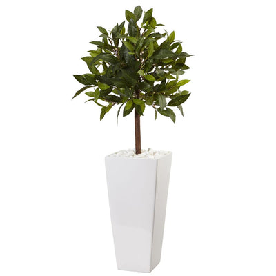 3’ Sweet Bay Tree in White Tower Planter Default Title