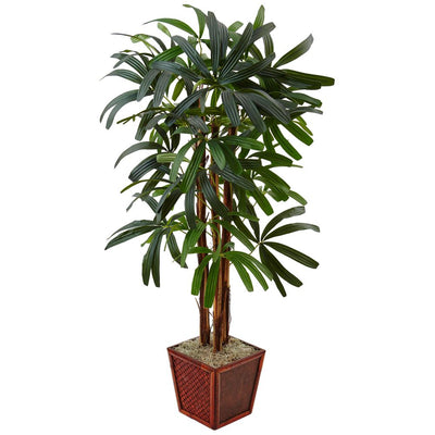 5’ Raphis Palm Tree in Bamboo Planter Default Title