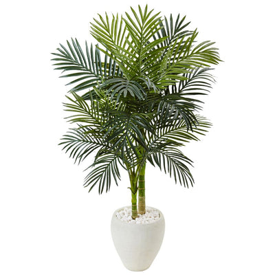 4.5’ Golden Cane Palm Tree in White Oval Planter Default Title