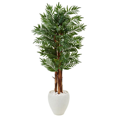 5’ Parlor Palm Tree in White Oval Planter Default Title