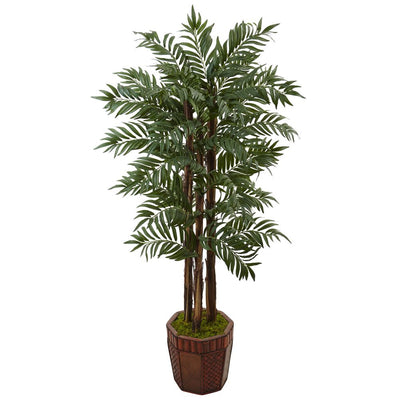 4.5’ Parlour Palm Tree in Bamboo Planter Default Title