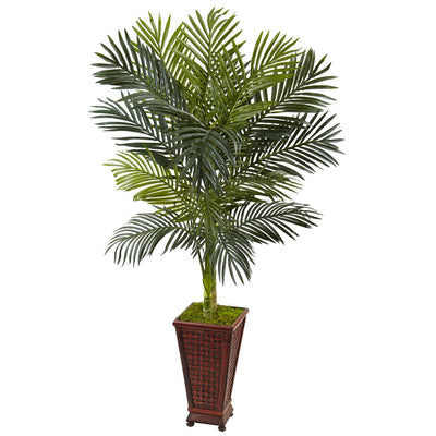 5’ Golden Cane Palm Tree in Decorative Planter Default Title