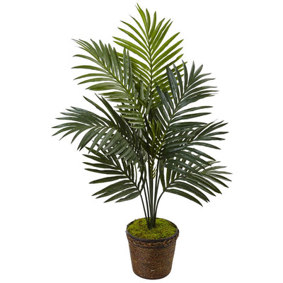 4’ Kentia Palm Tree in Coiled Rope Planter Default Title