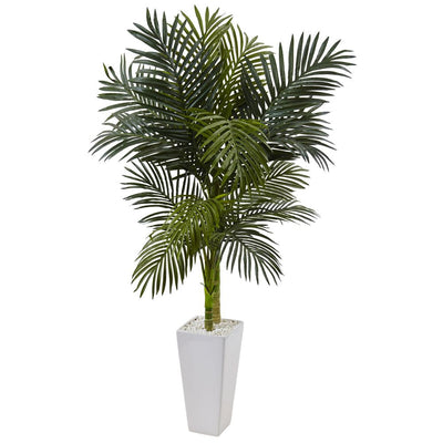 5’ Golden Cane Palm Tree in White Tower Planter Default Title