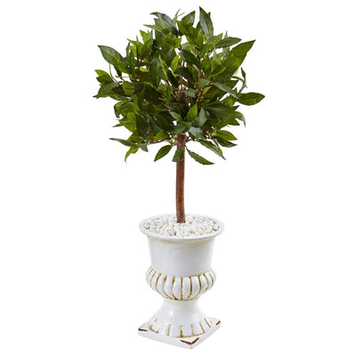 2.5’ Sweet Bay Mini Topiary Tree in White Urn Default Title