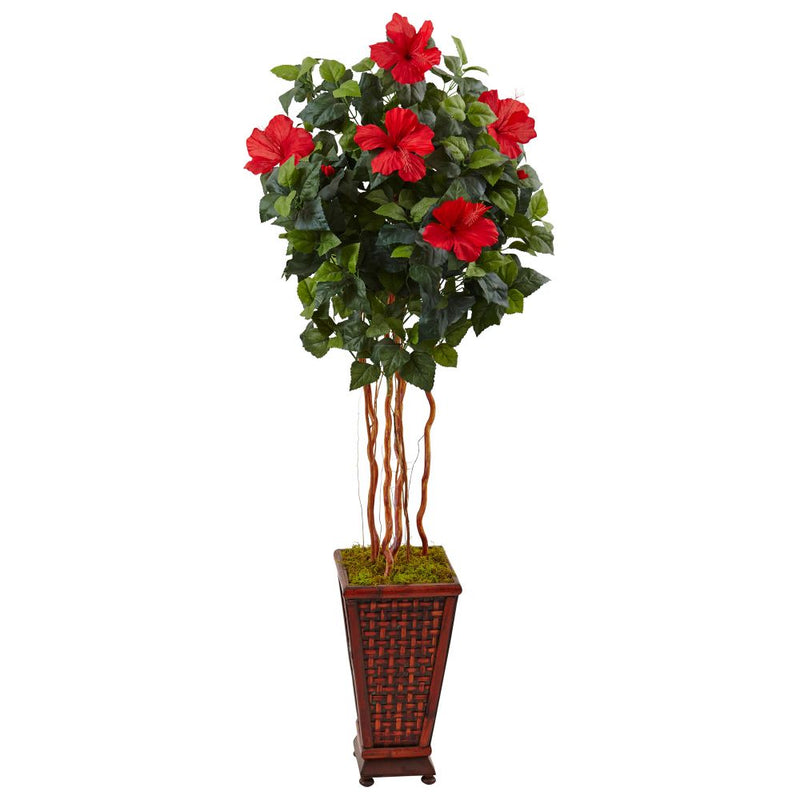 5’ Hibiscus Tree in Decorated Wooden Planter Default Title