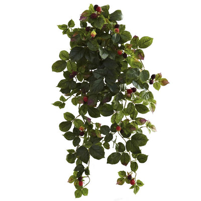 Raspberry Hanging Bush with Berry (Set of 2) Default Title