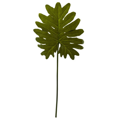 Selloum Philo Single Leaf Stem (Set of 12) Default Title