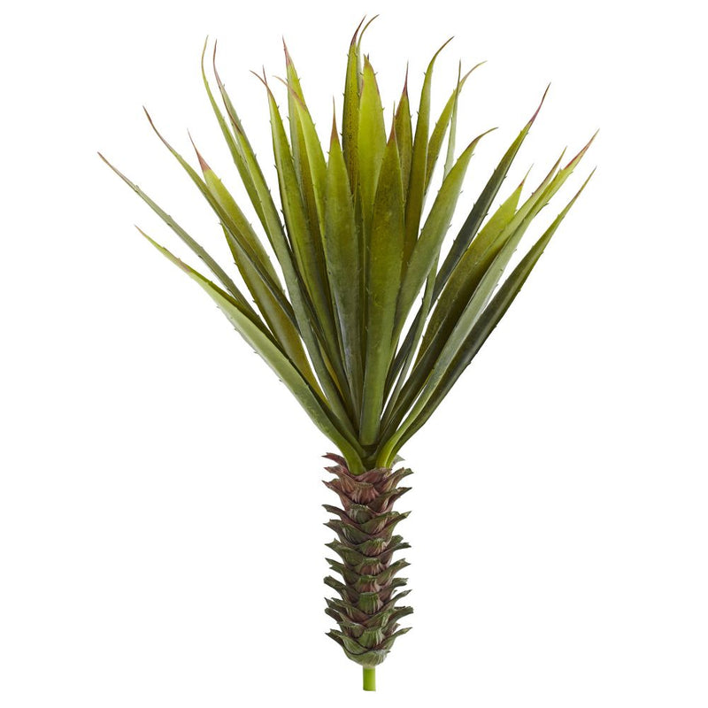 Spiky Agave Succulent Plant (Set of 2) Default Title