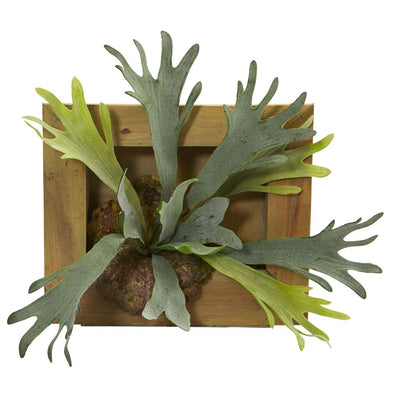 13" Staghorn Artificial Plant in Wood Hanging Frame Default Title