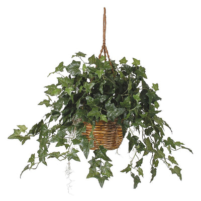 English Ivy Hanging Basket Silk Plant Default Title