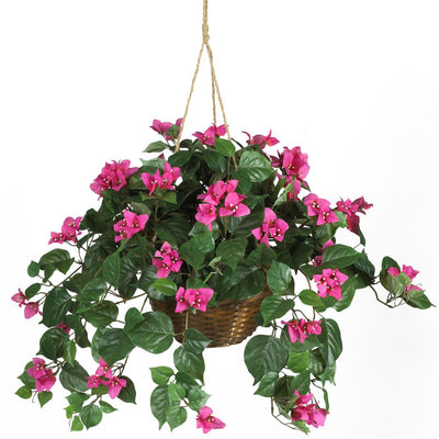 Bougainvillea Hanging Basket Silk Plant Default Title