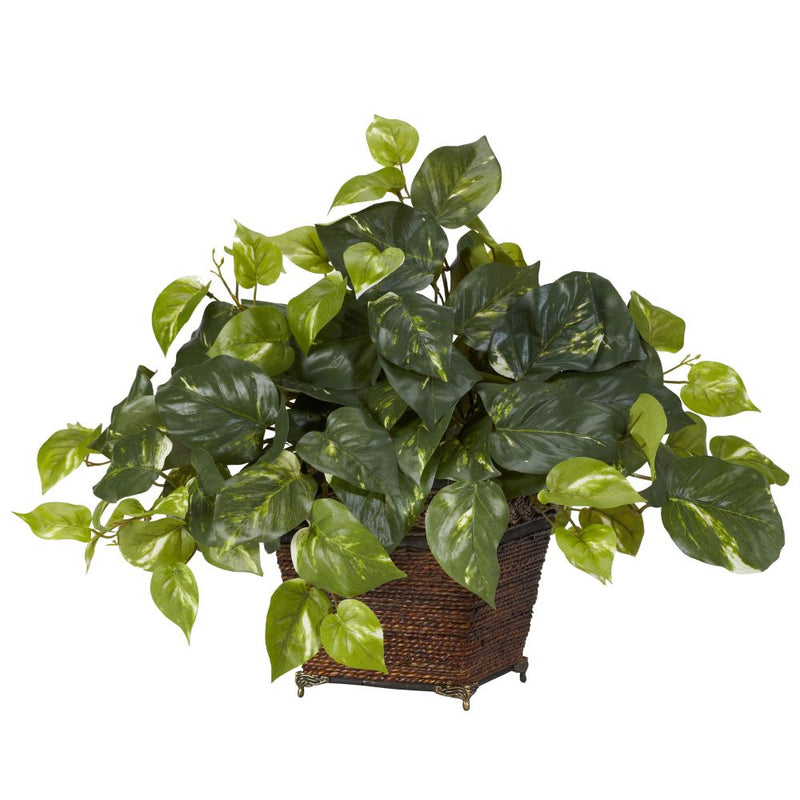 Pothos w/Coiled Rope Planter Silk Plant Default Title