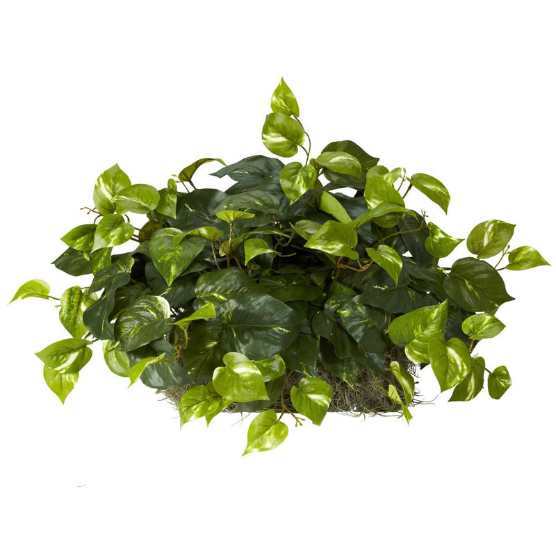 Pothos Set on Foam Sheet Silk Plant Default Title