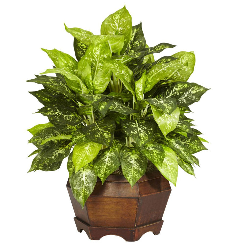 Variegated Dieffenbachia w/Large Hexagon Silk Plant Default Title