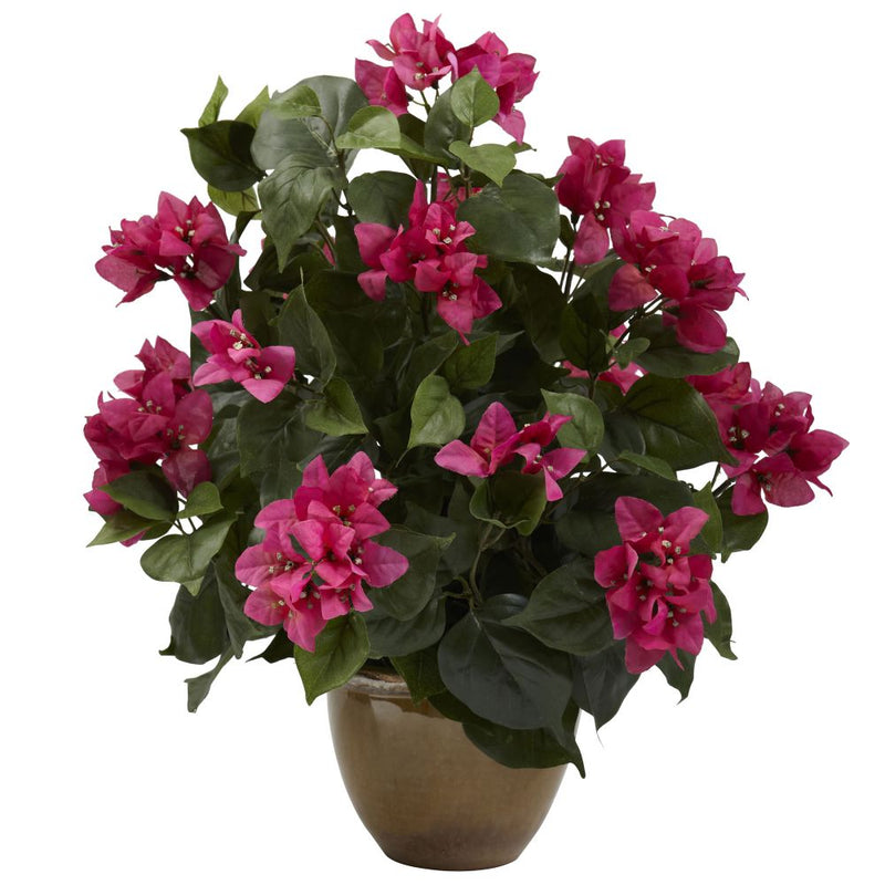 Bougainvillea w/Ceramic Vase Default Title