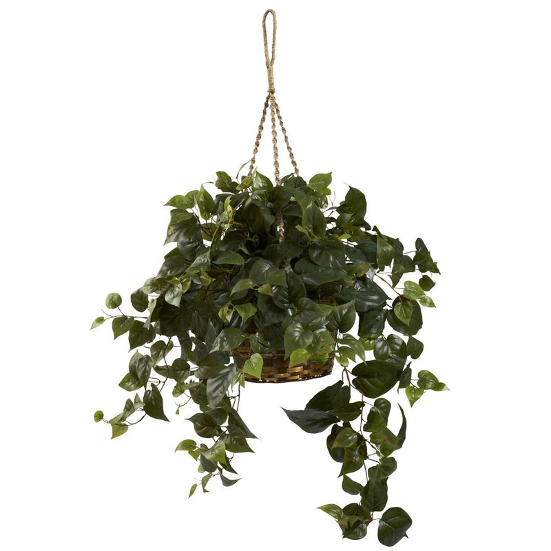 Philo Hanging Basket Default Title