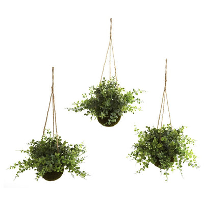 Eucalyptus, Maiden Hair & Berry Hanging Basket (Set of 3) Default Title