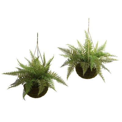 Leather Fern w/Mossy Hanging Basket (Indoor/Outdoor) (Set of 2) Default Title