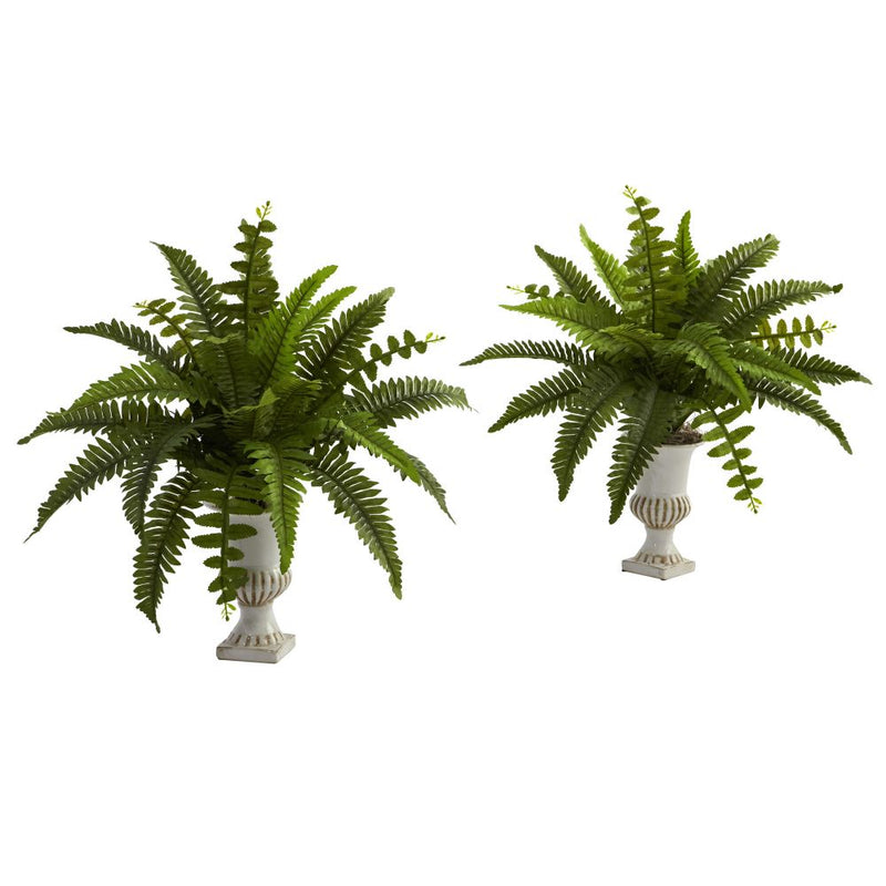 Boston Fern w/Urn (Set of 2) Default Title