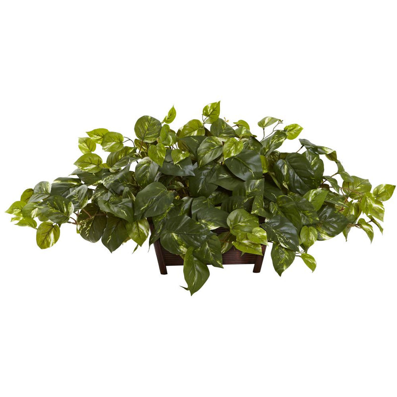 Pothos w/Rectangle Decorative Planter Default Title