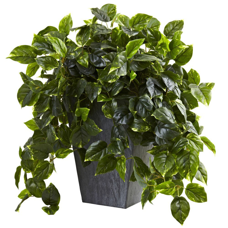 Hanging Pothos w/Slate Planter UV Resistant (Indoor/Outdoor) Default Title