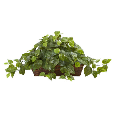 Pothos w/Ledge Basket Default Title