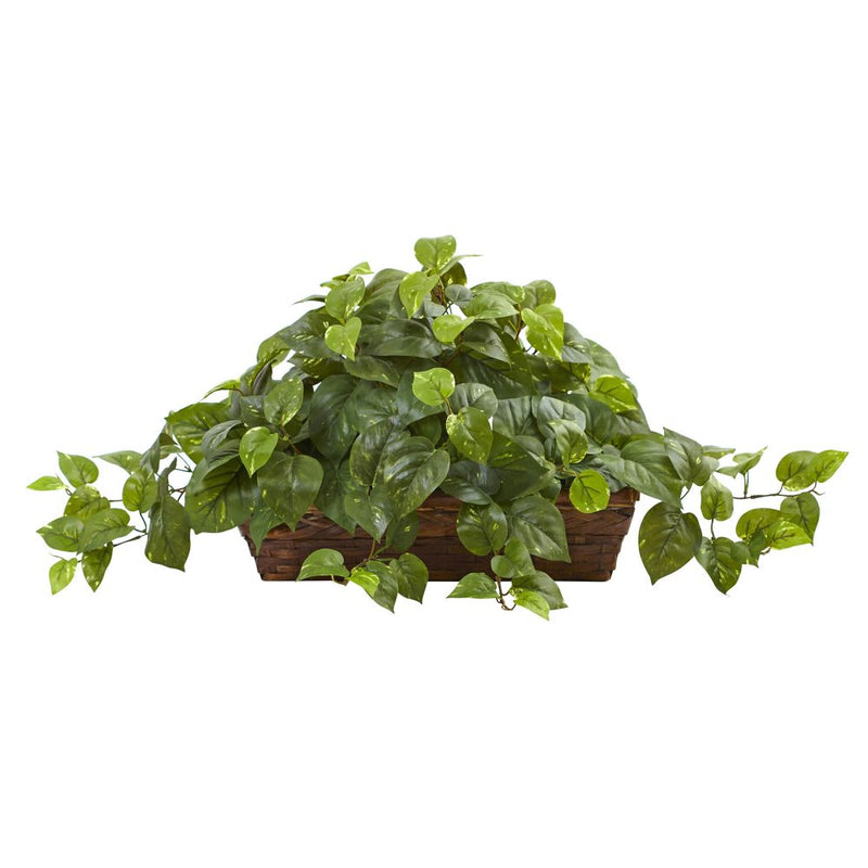 Pothos w/Ledge Basket Default Title