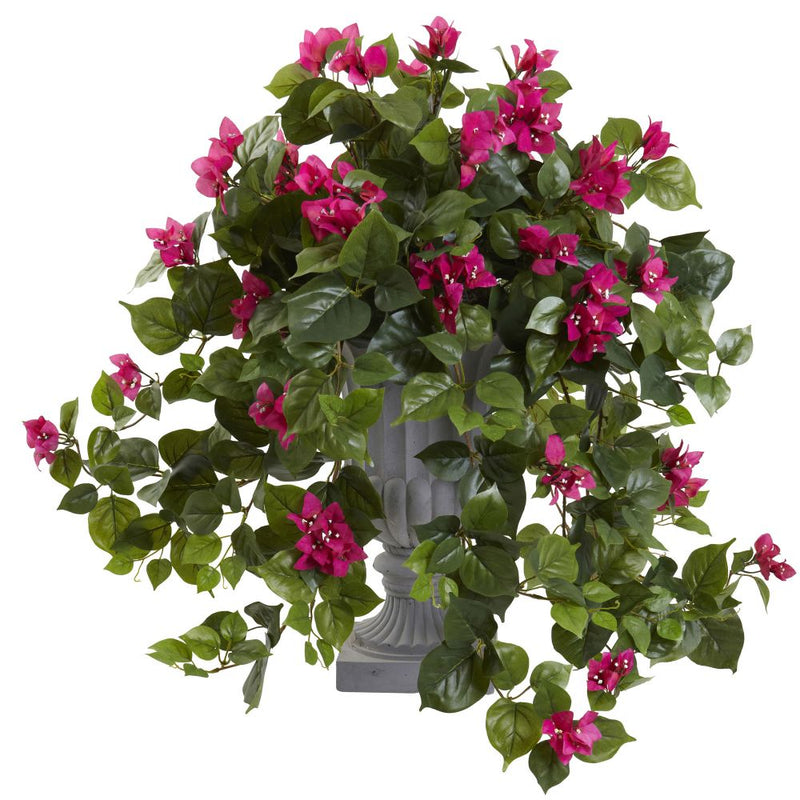 Bougainvillea with Decorative Urn Default Title