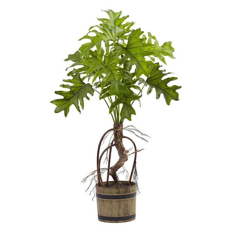 Split Philo Plant w/Bucket Planter Default Title