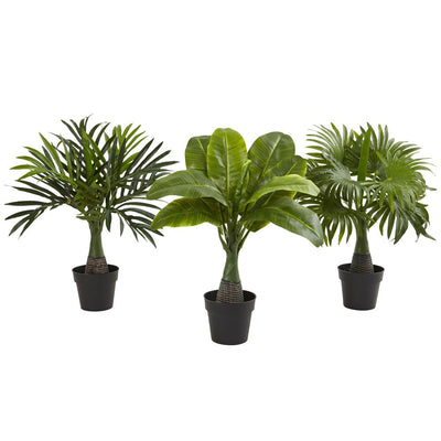 Areca, Fountain & Banana Palm (Set of 3) Default Title