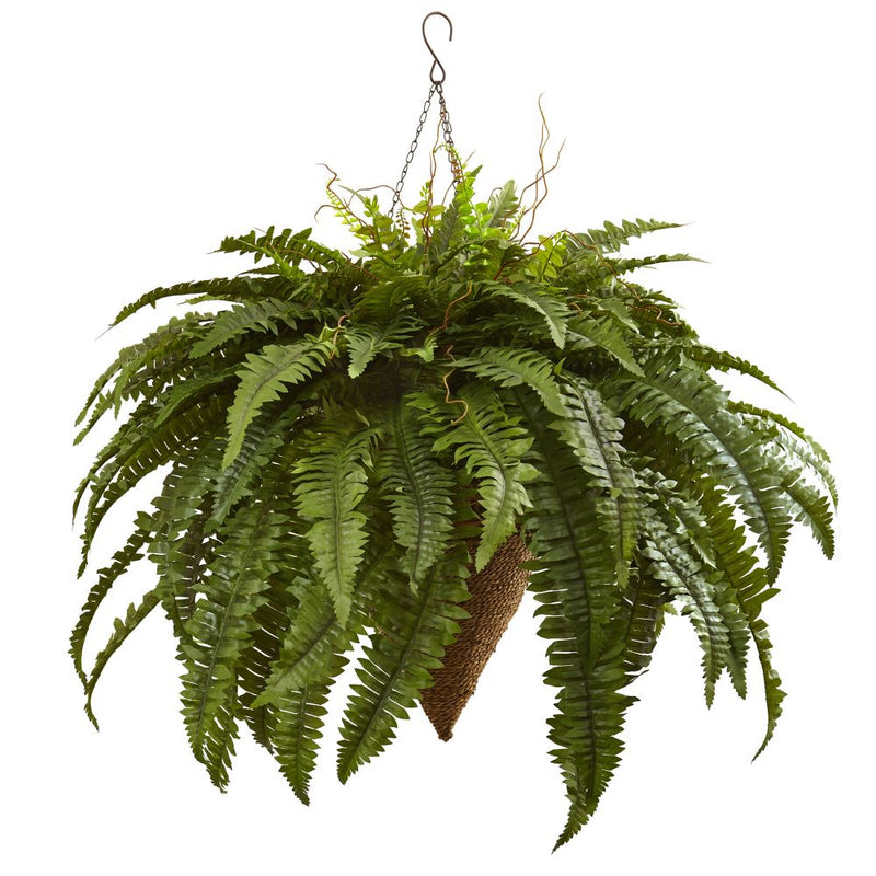 Giant Boston Fern with Cone Hanging Basket Default Title