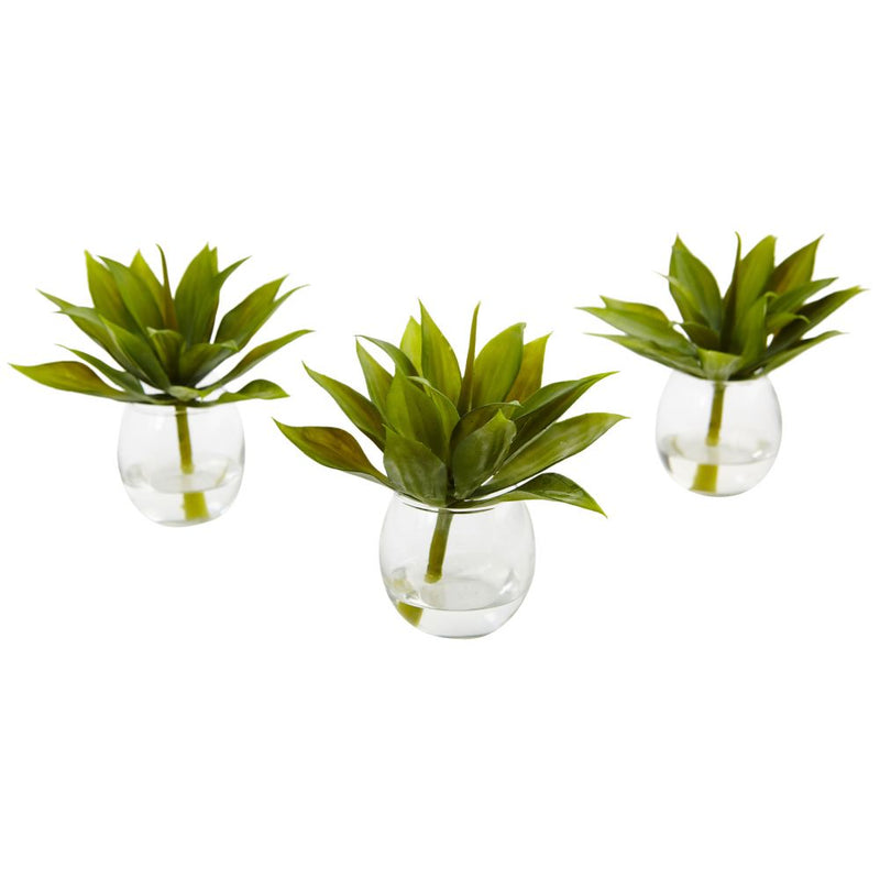 Agave Succulent with Vase (Set of 3) Default Title