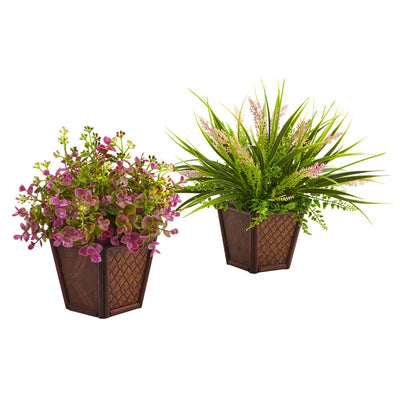 Assorted Grass with Planter (Set of 2) Default Title