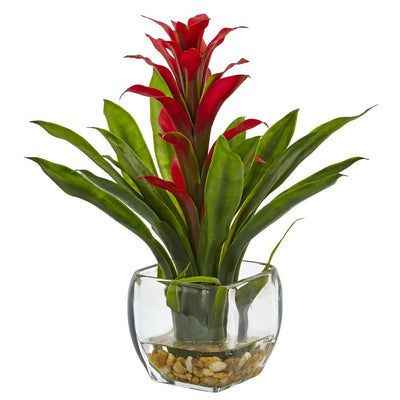 Bromeliad with Vase Arrangement Default Title